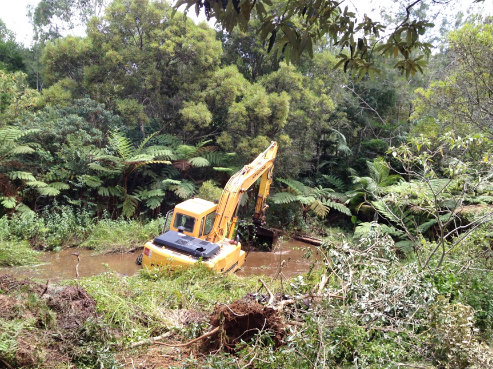 excavator went for a swim